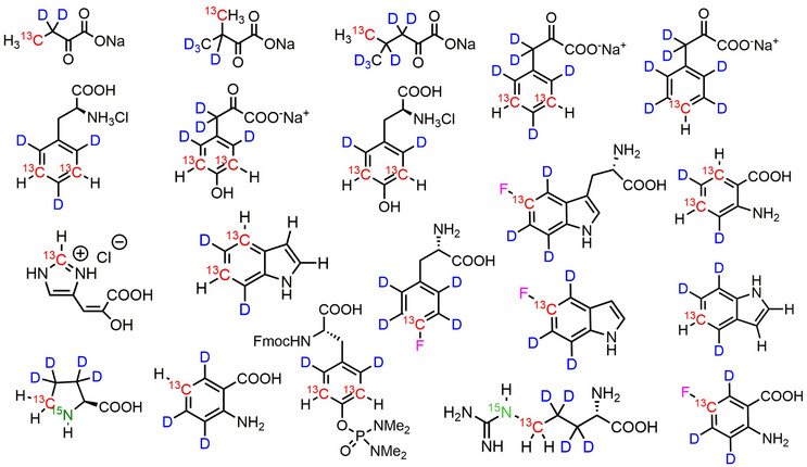 Compound library for selective protein isotope labelling